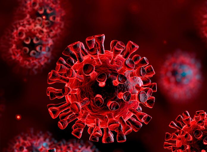 Identifies a new Covid-19 virus strain