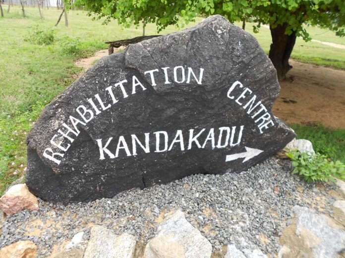 A Kandakadu prisoner's death led to the arrest of two troops and two airmen.